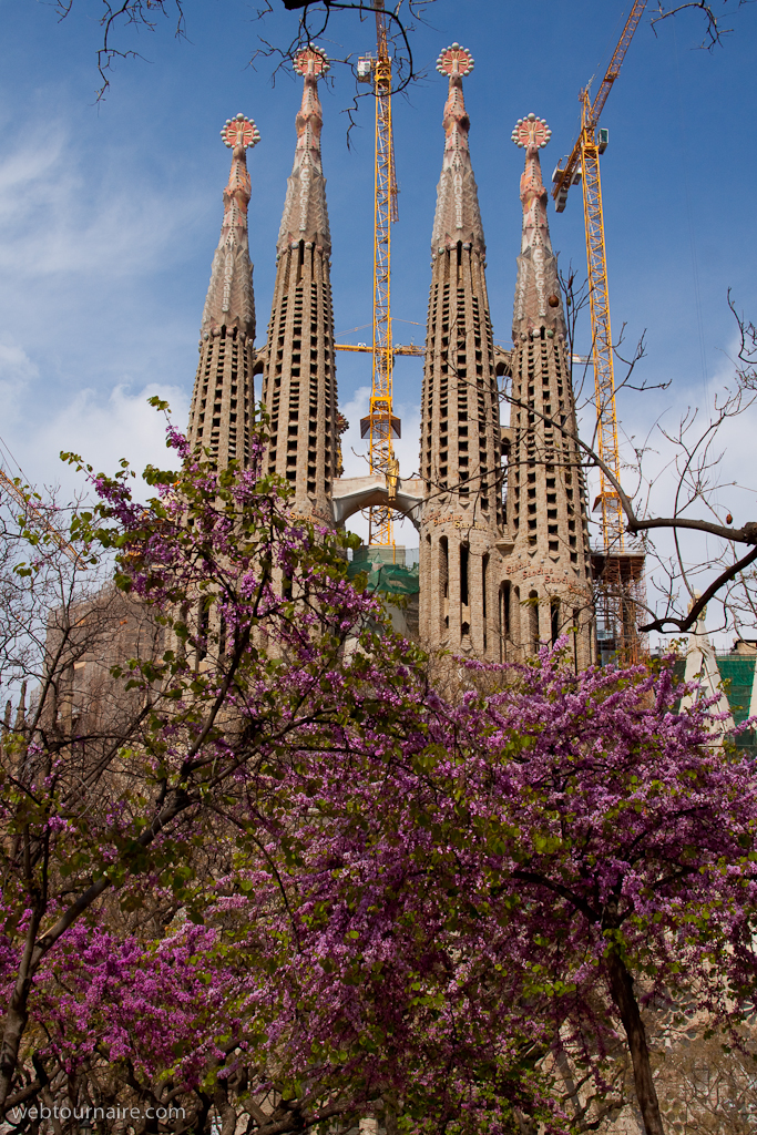 Barcelona - la Sagrada Familia