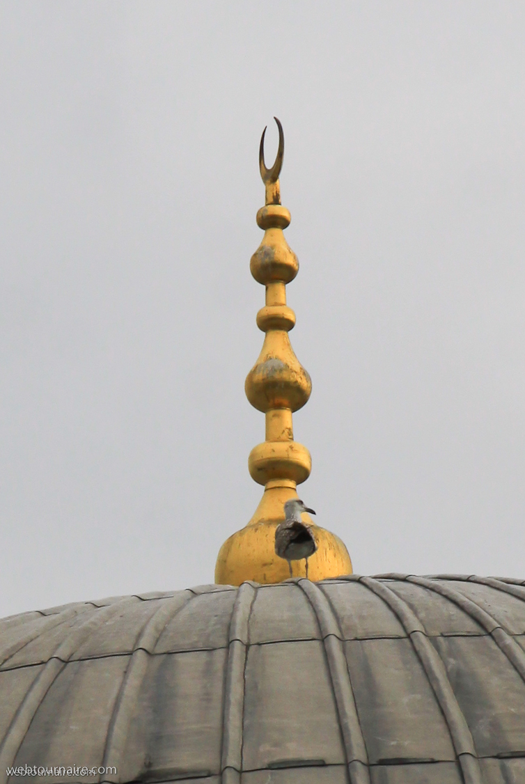 Istanbul - Sainte Sophie (Ayasofia)