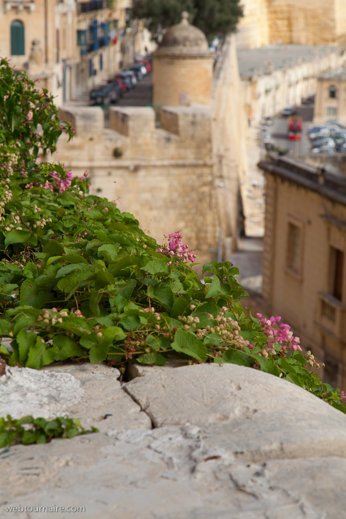 Valetta  - Malta