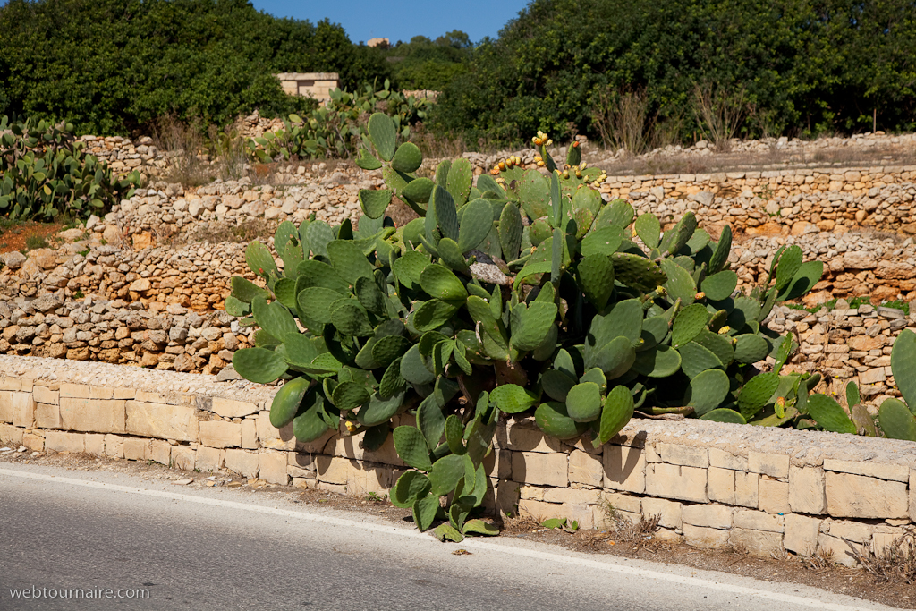 Wied Iz-Zurrieq - Malta