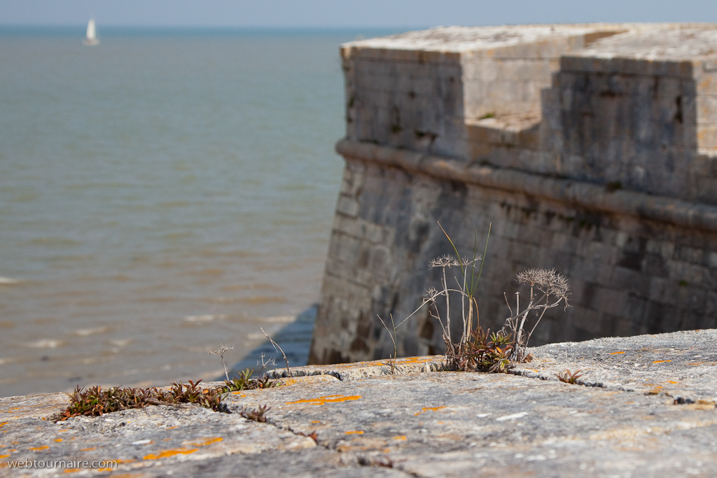 Saint Martin de Ré - Charente maritime - 17