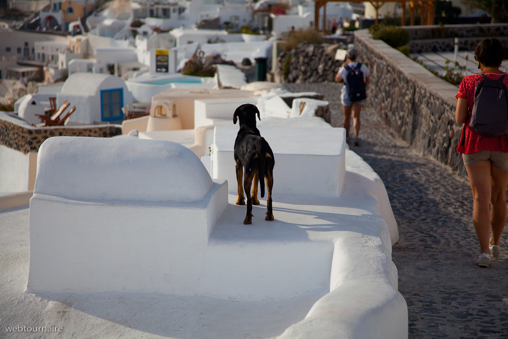 Oia