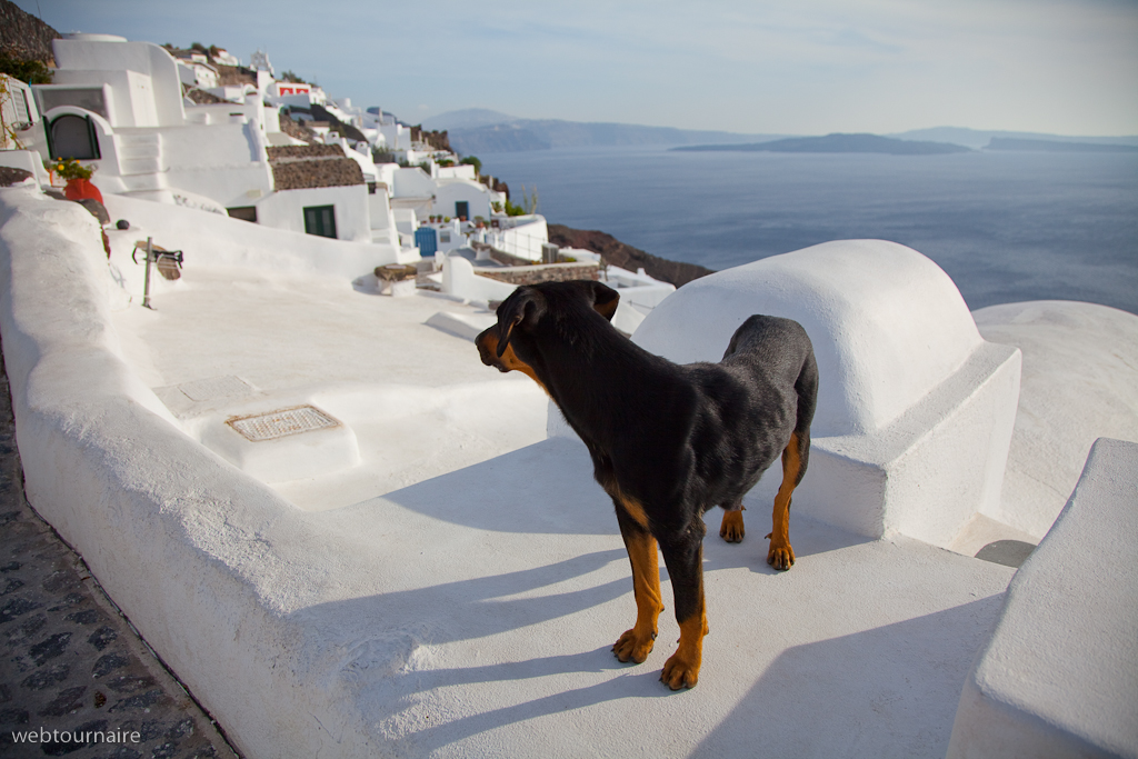Oia