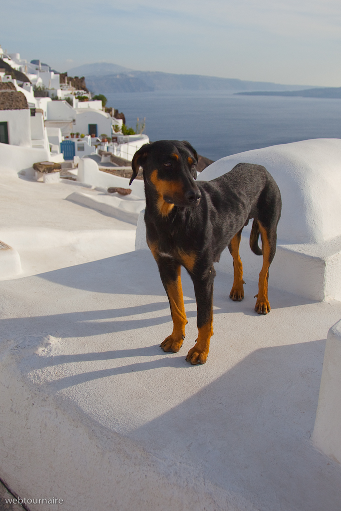 Oia