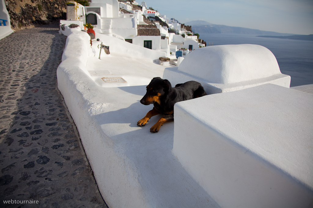 Oia