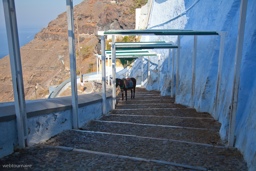 Fira