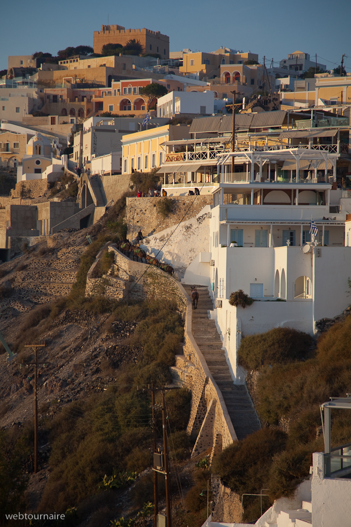 Fira