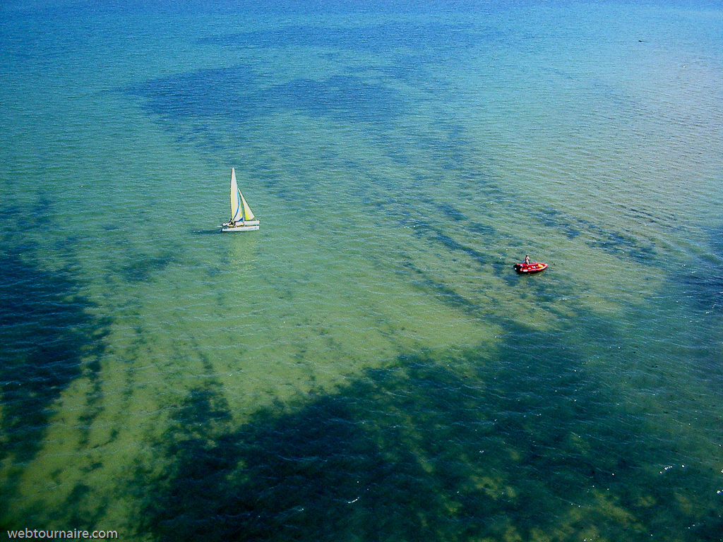 Courcelles sur mer - Calvados (14)