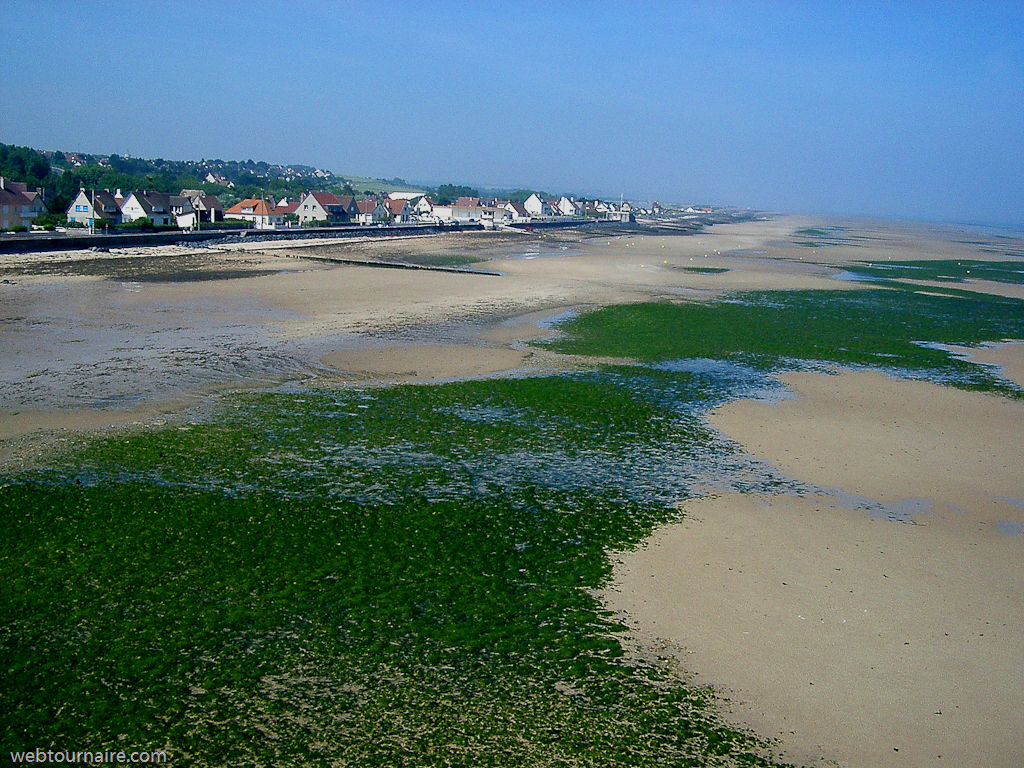 Courcelles sur mer - Calvados (14)