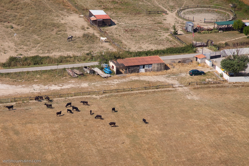 Camargue