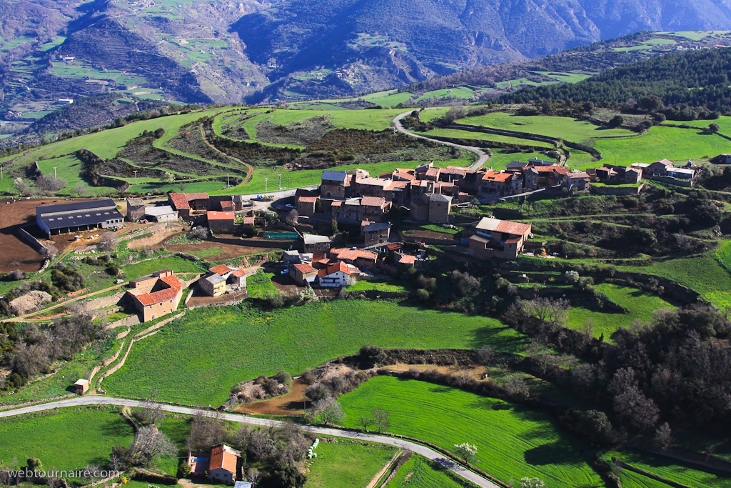 Ortedo