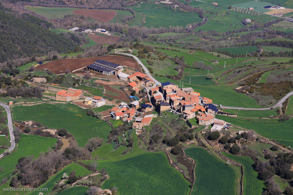 Ortedo