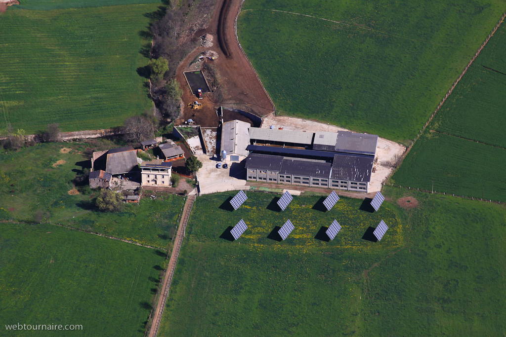 élevage porcin