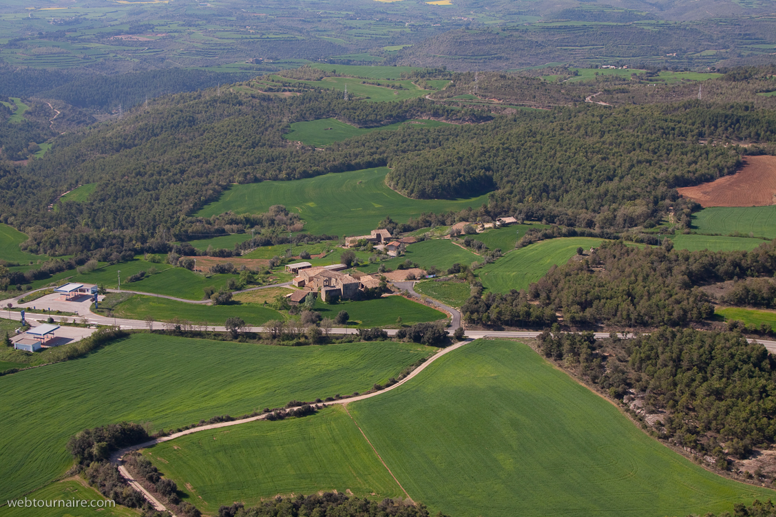 Hortoneda