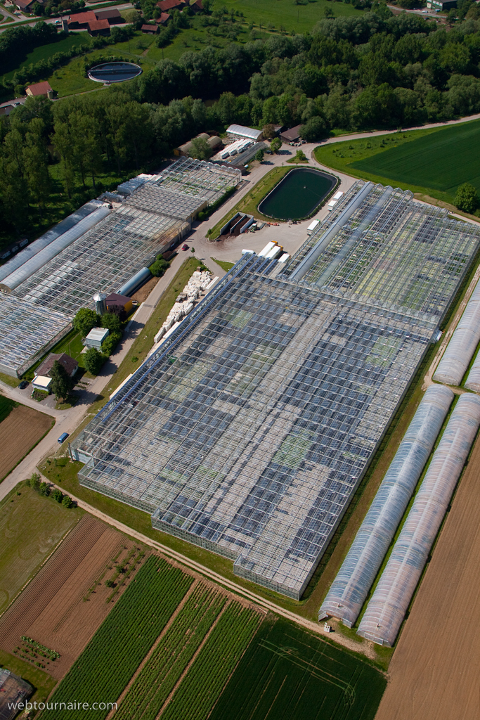 Enzweihingen - Bade-Wurtemberg - Allemagne