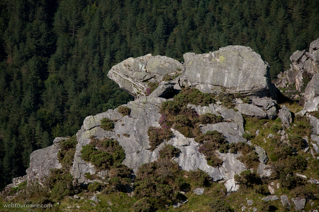La Rhune - Pyrénées atlantiques - 64