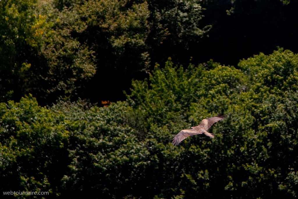 Urrugne - Pyrénées atlantiques - 64