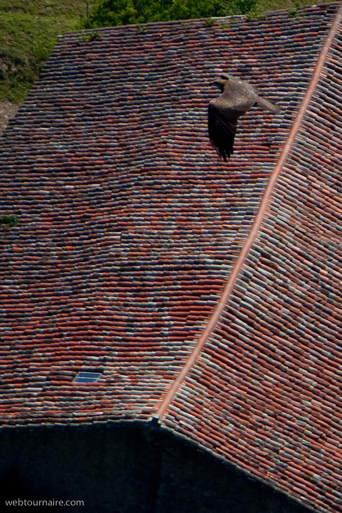 Urrugne - Pyrénées atlantiques - 64