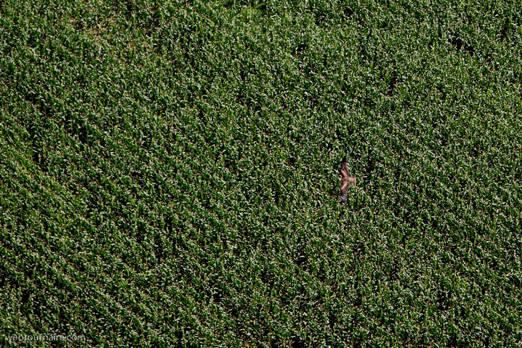 Urrugne - Pyrénées atlantiques - 64