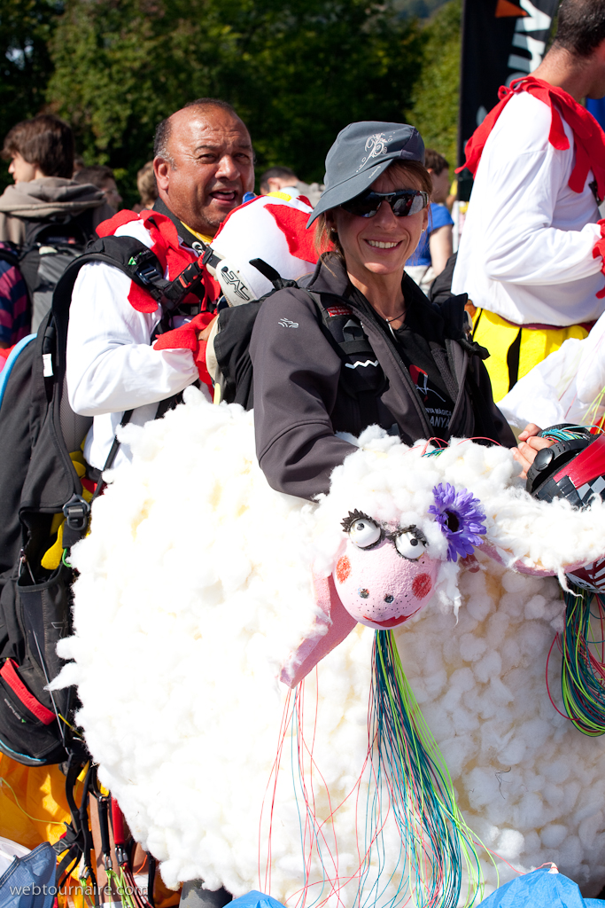 Les moutons d'Organya