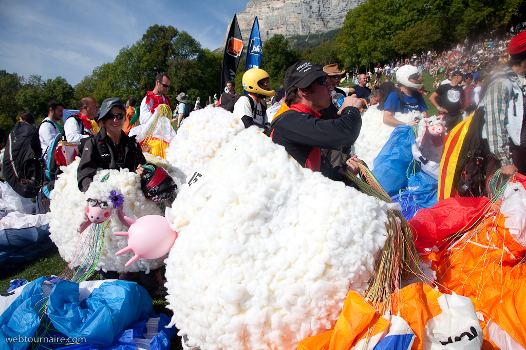 Les moutons d'Organya