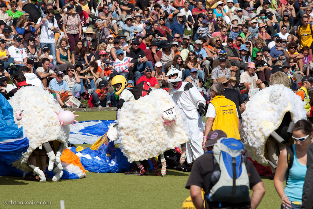 Les moutons d'Organya