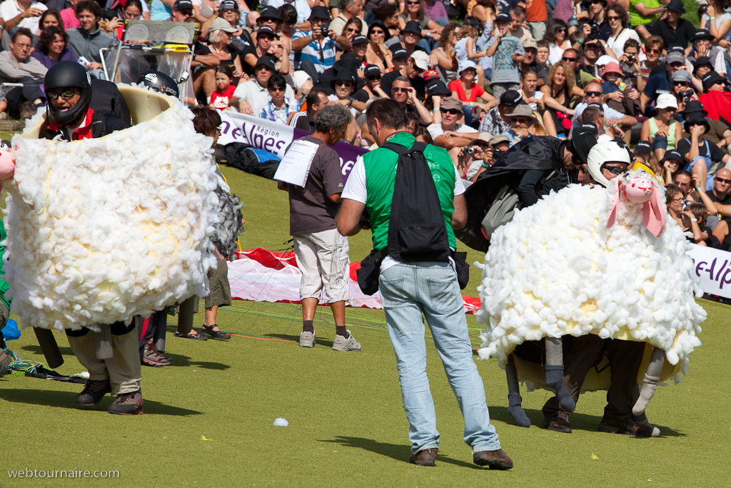 Les moutons d'Organya