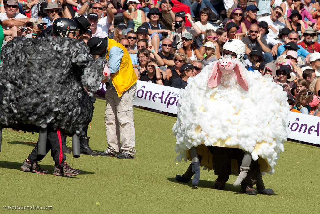 Les moutons d'Organya