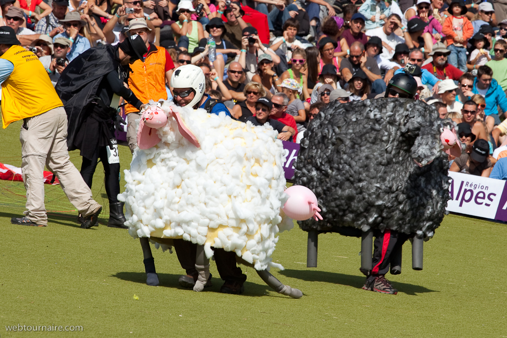 Les moutons d'Organya