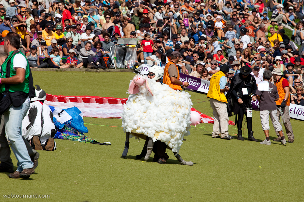 Les moutons d'Organya