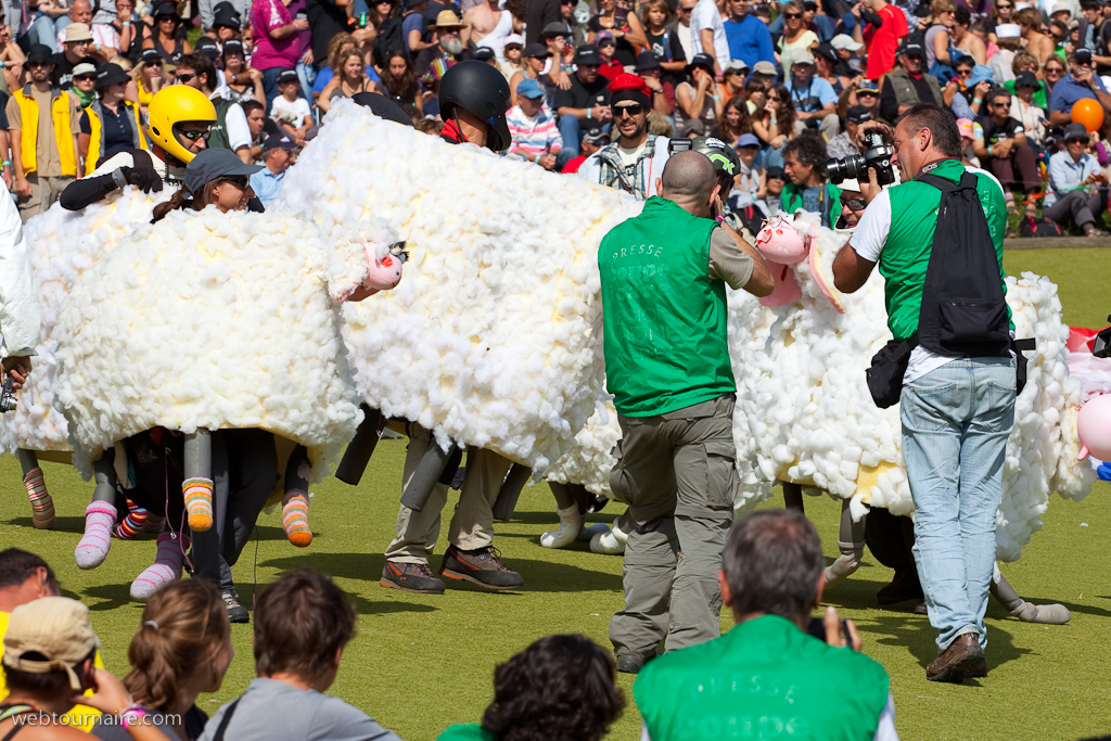 Les moutons d'Organya