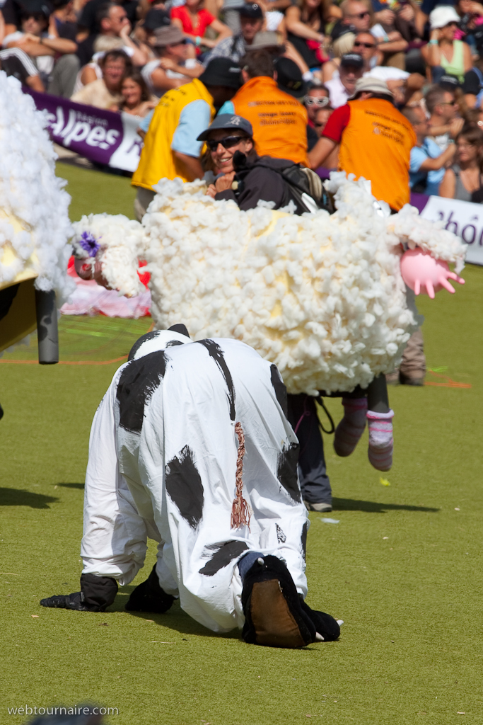 Les moutons d'Organya