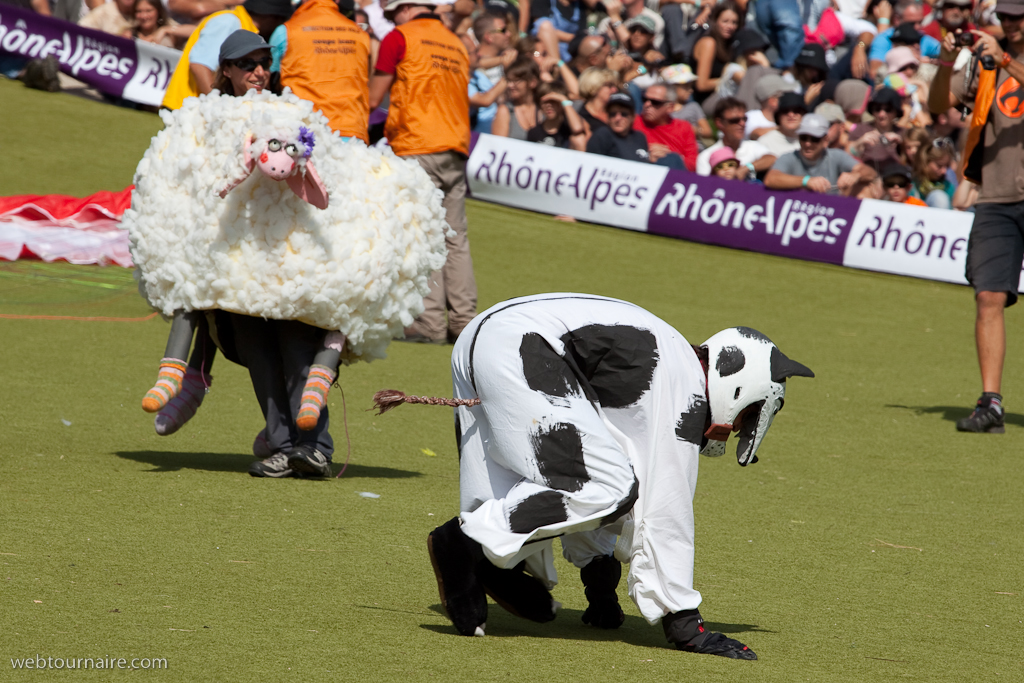 Les moutons d'Organya