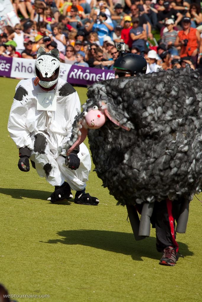 Les moutons d'Organya