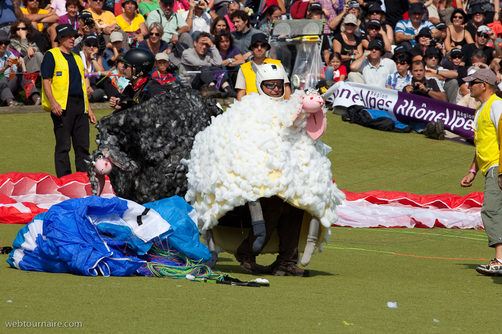 Les moutons d'Organya