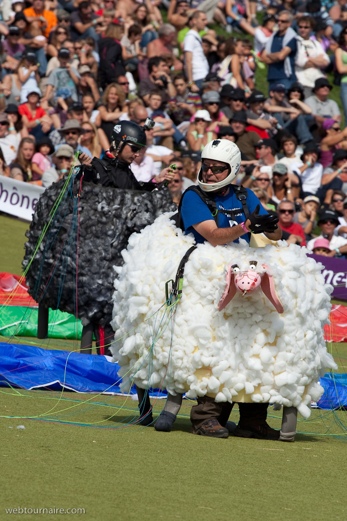 Les moutons d'Organya