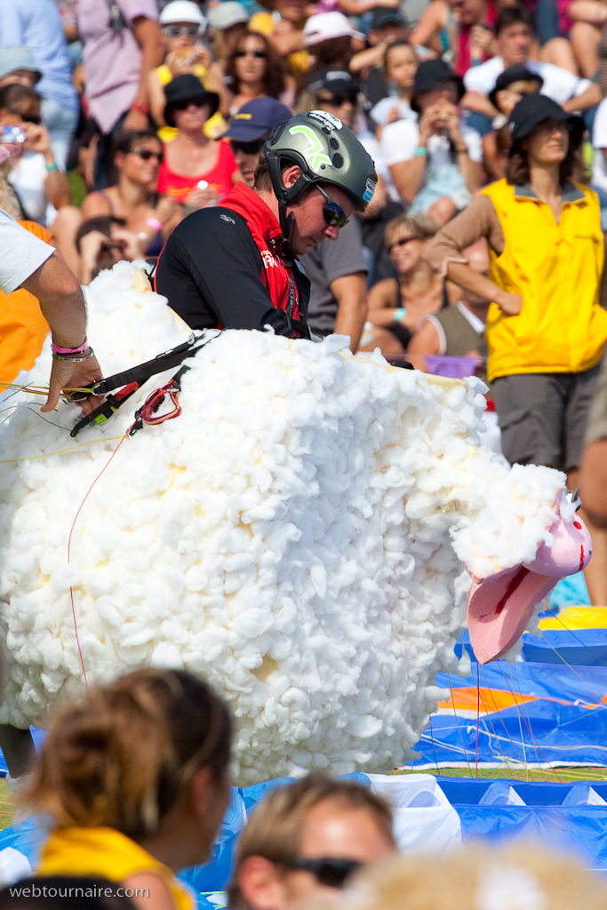 Les moutons d'Organya