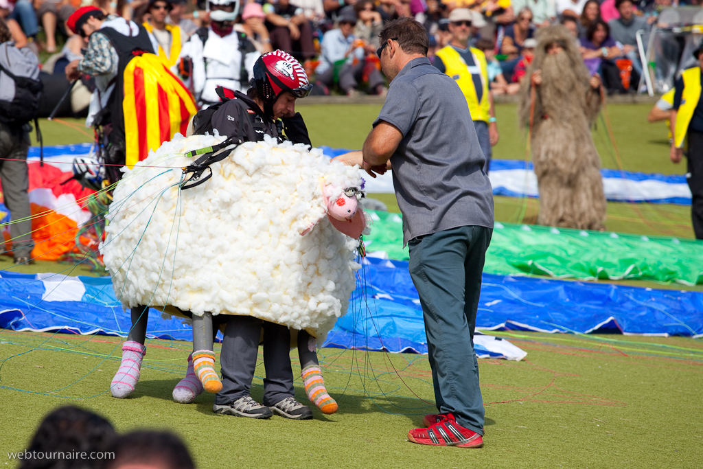 Les moutons d'Organya