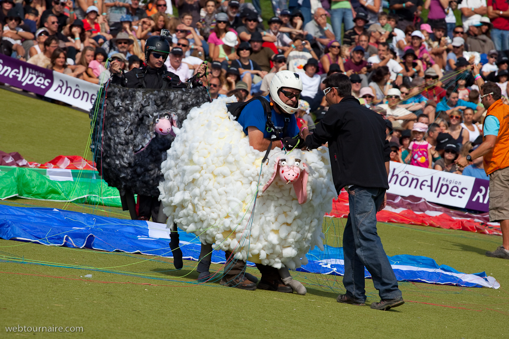 Les moutons d'Organya