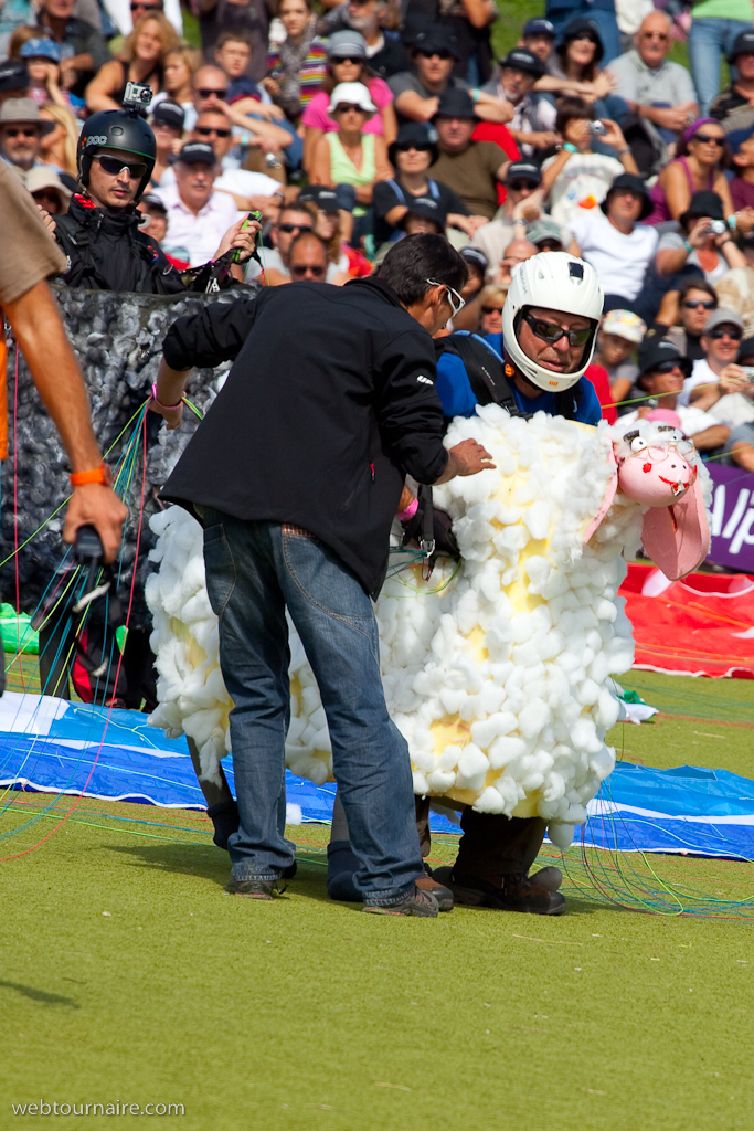 Les moutons d'Organya