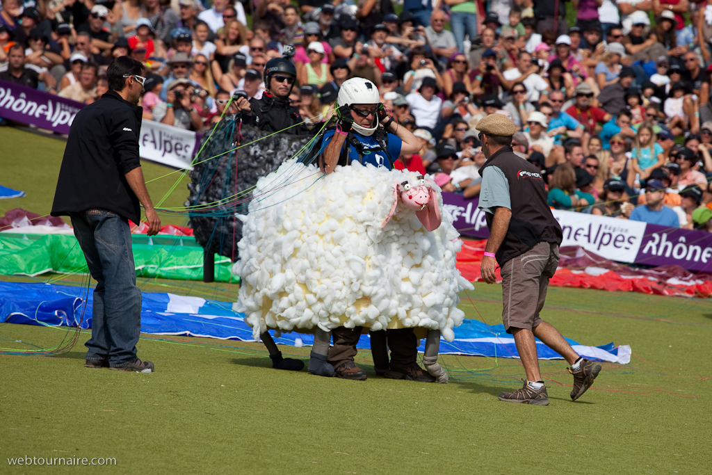 Les moutons d'Organya