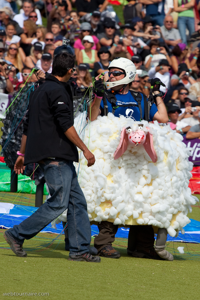 Les moutons d'Organya