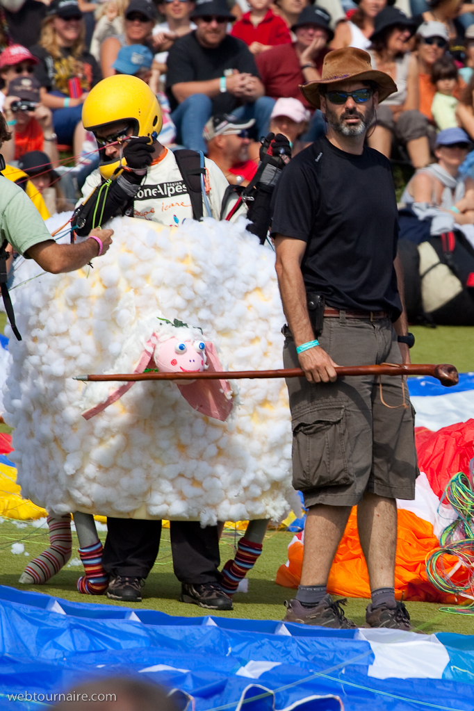 Les moutons d'Organya