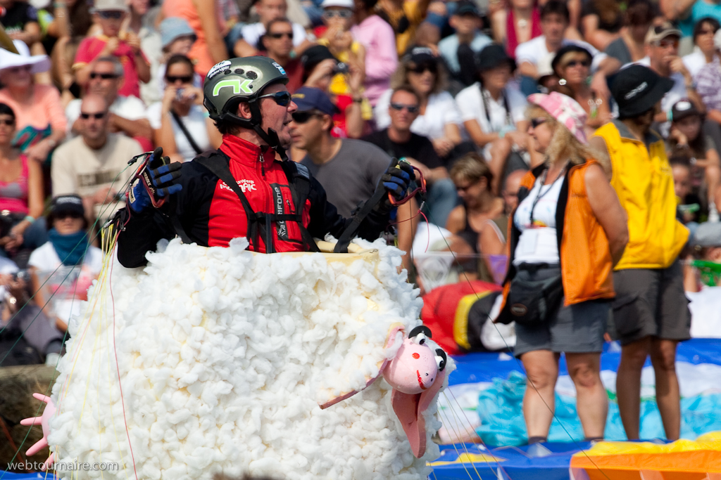 Les moutons d'Organya