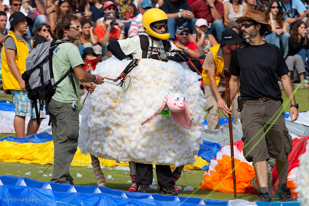 Les moutons d'Organya