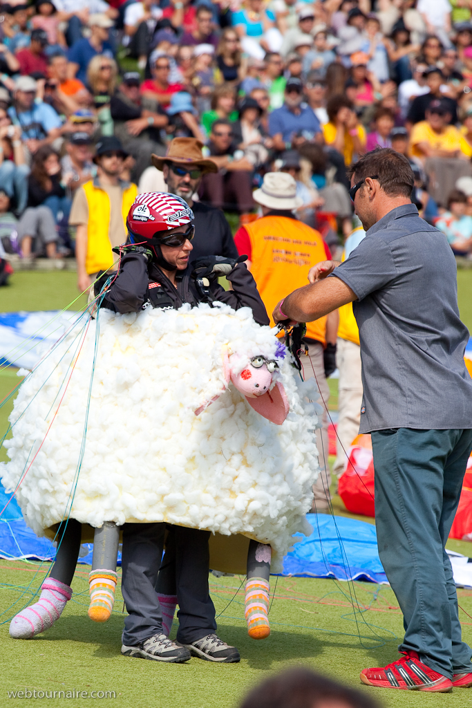 Les moutons d'Organya