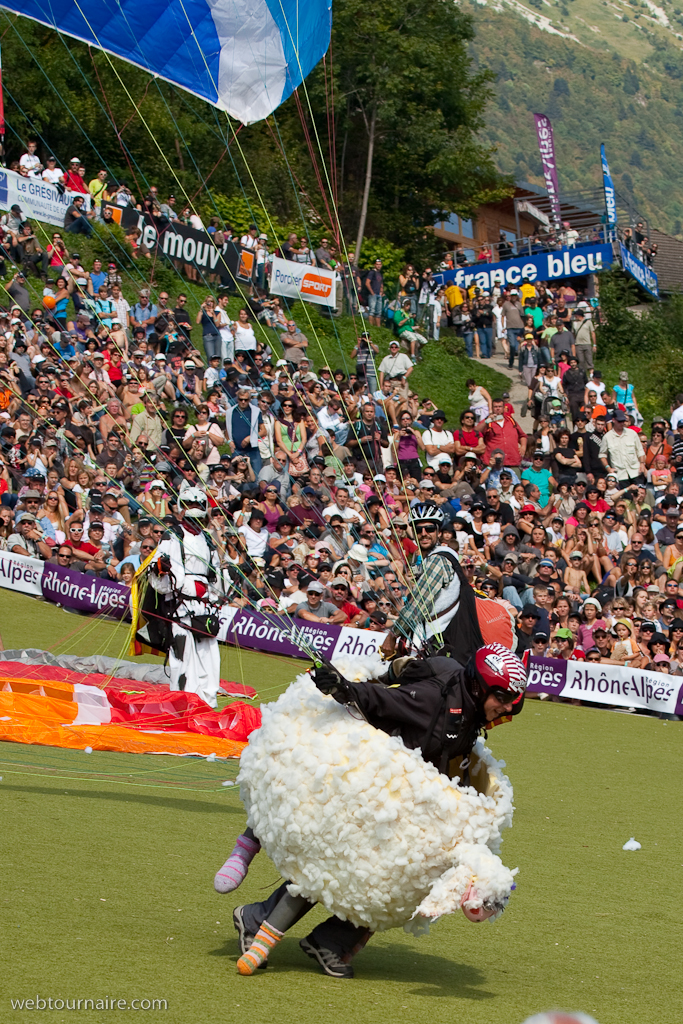 Les moutons d'Organya