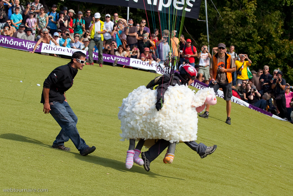 Les moutons d'Organya