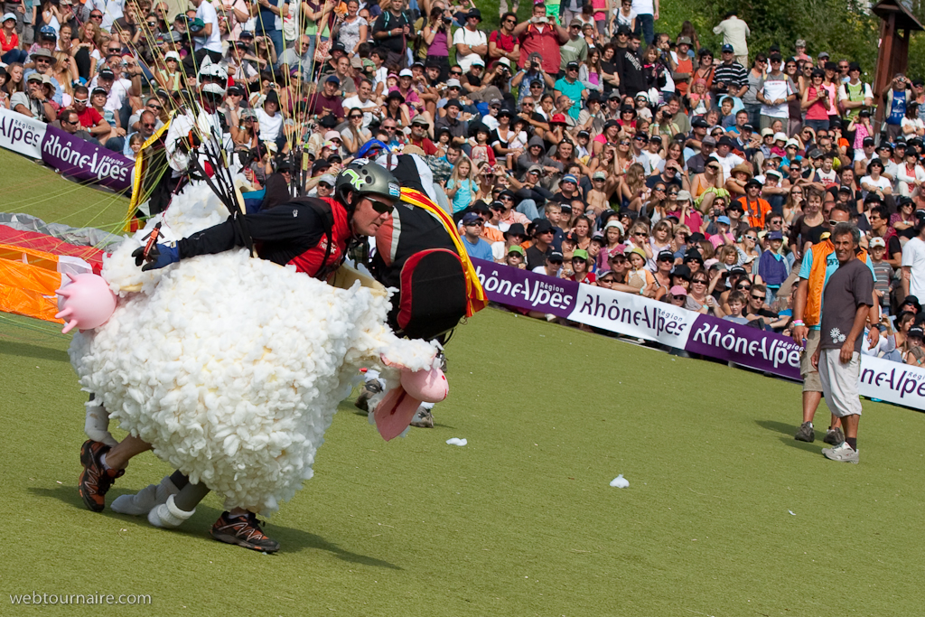 Les moutons d'Organya