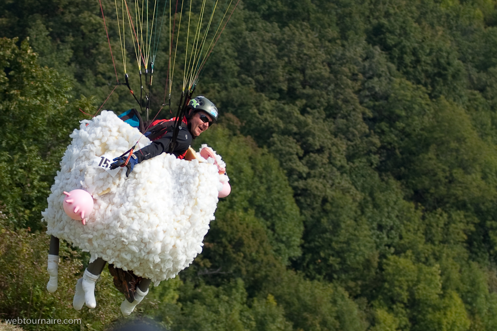 Les moutons d'Organya